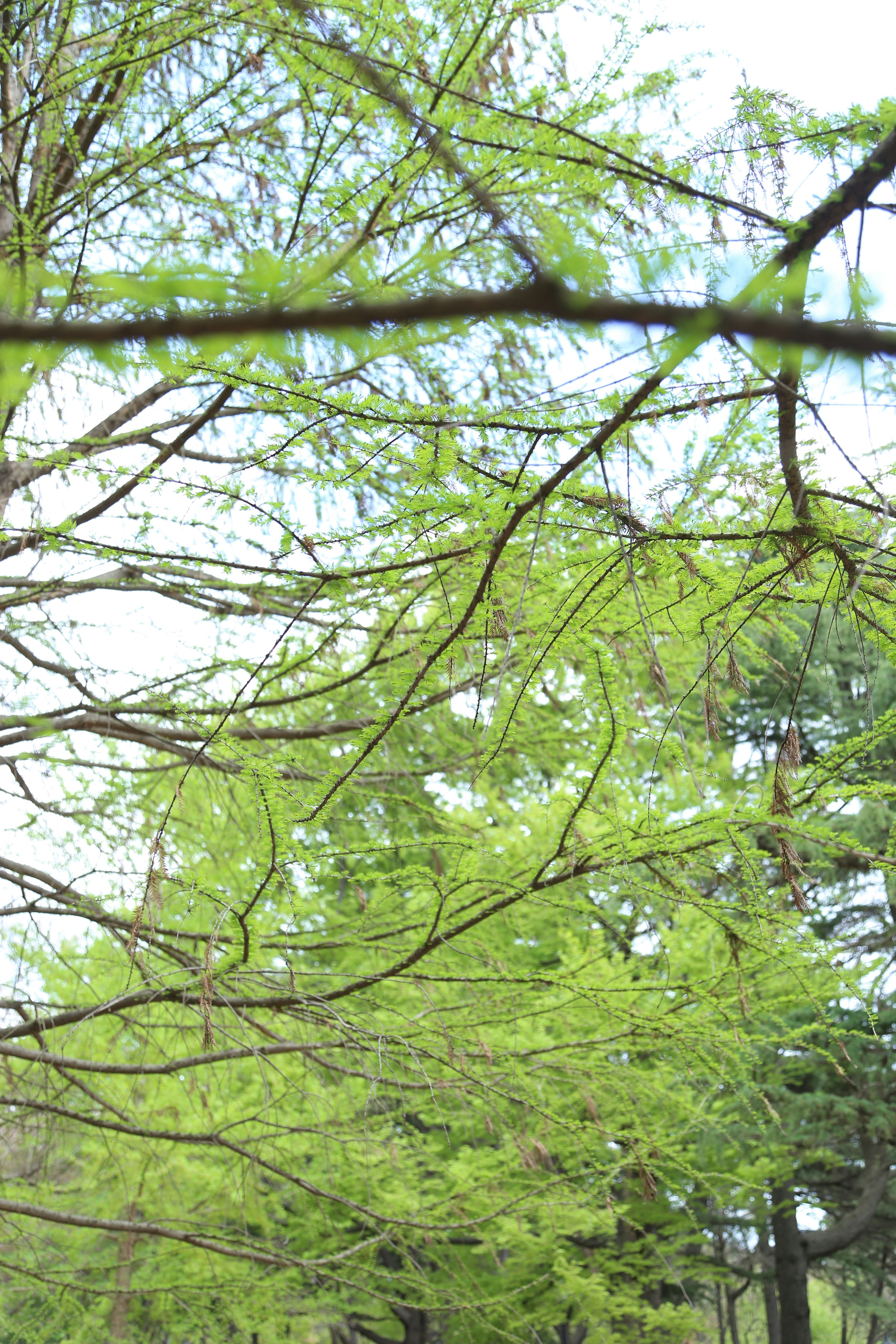 Photo by flameeflamee