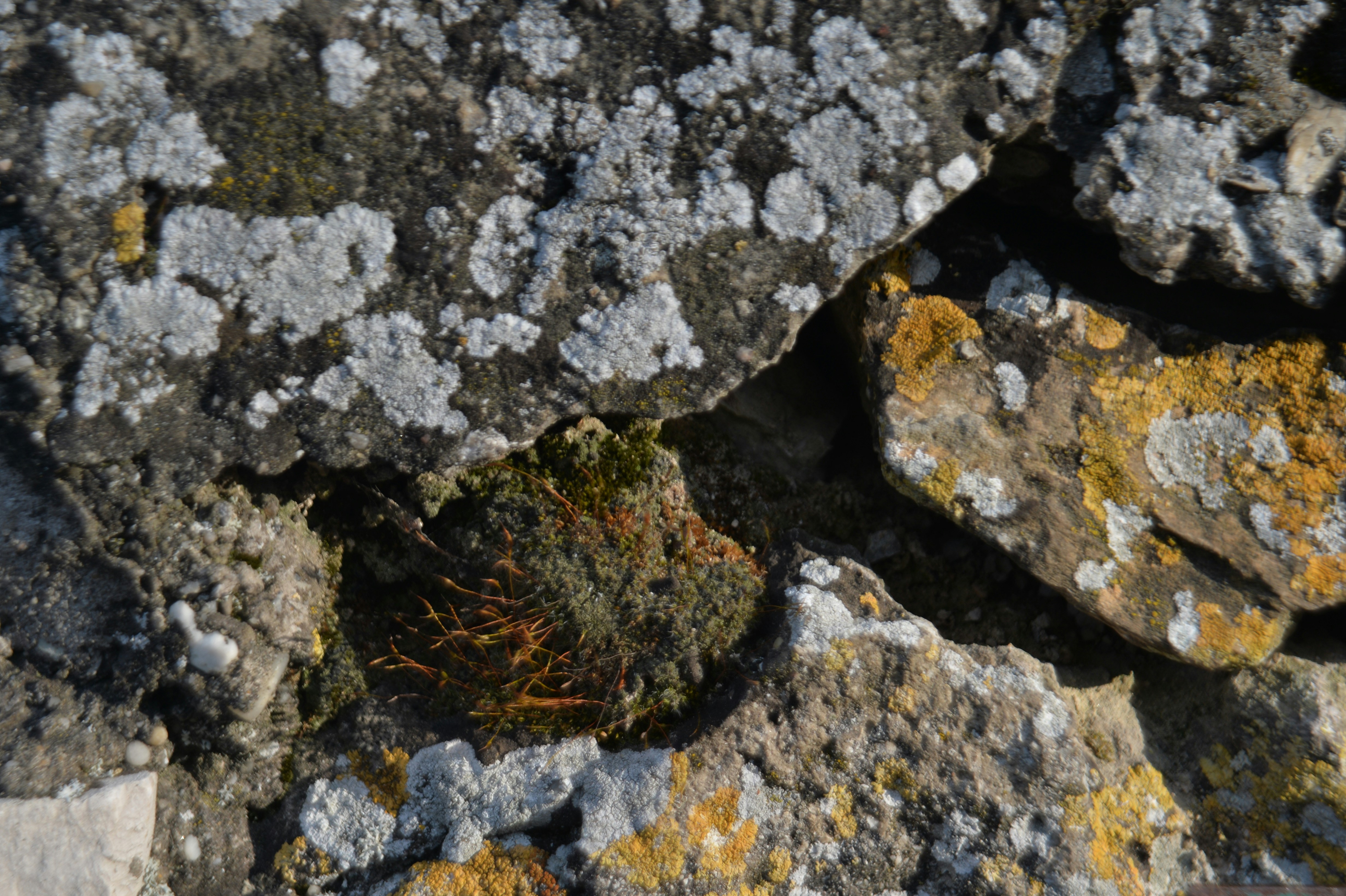 Photo by baliko_andras