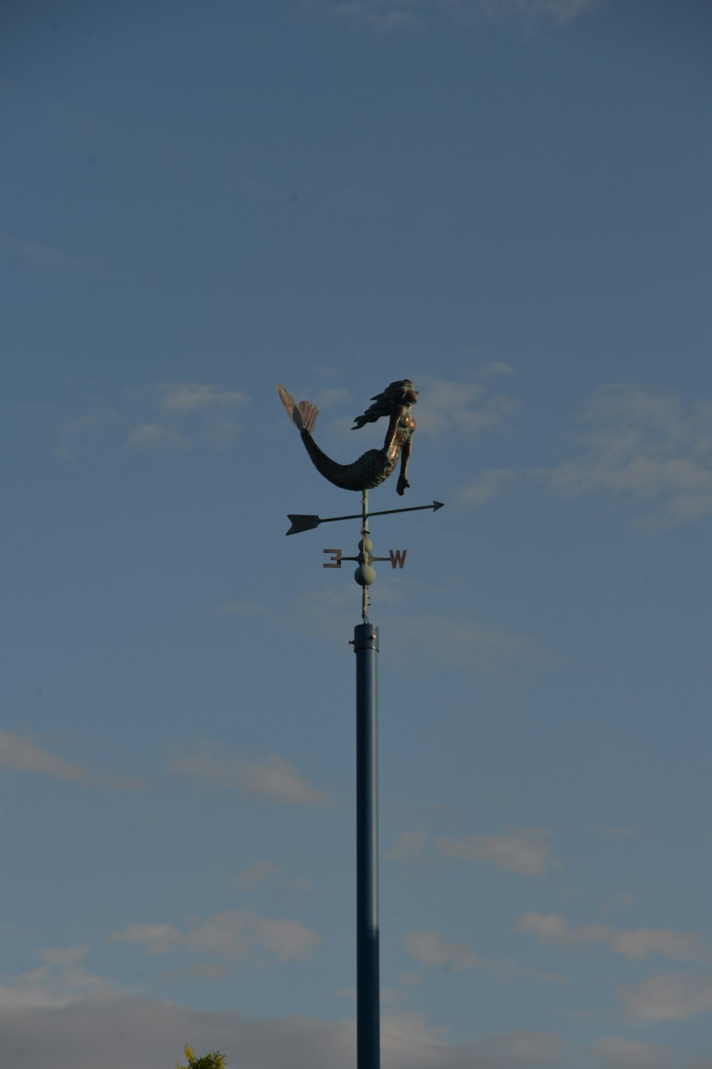 a bird is perched on top of a weather vane