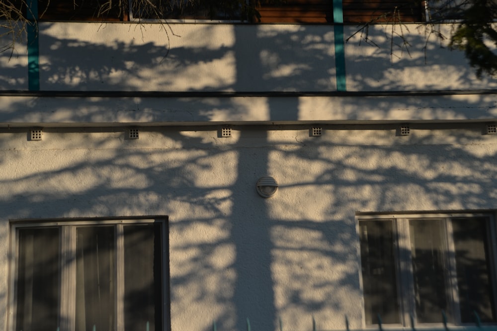 a shadow of a tree on the side of a building