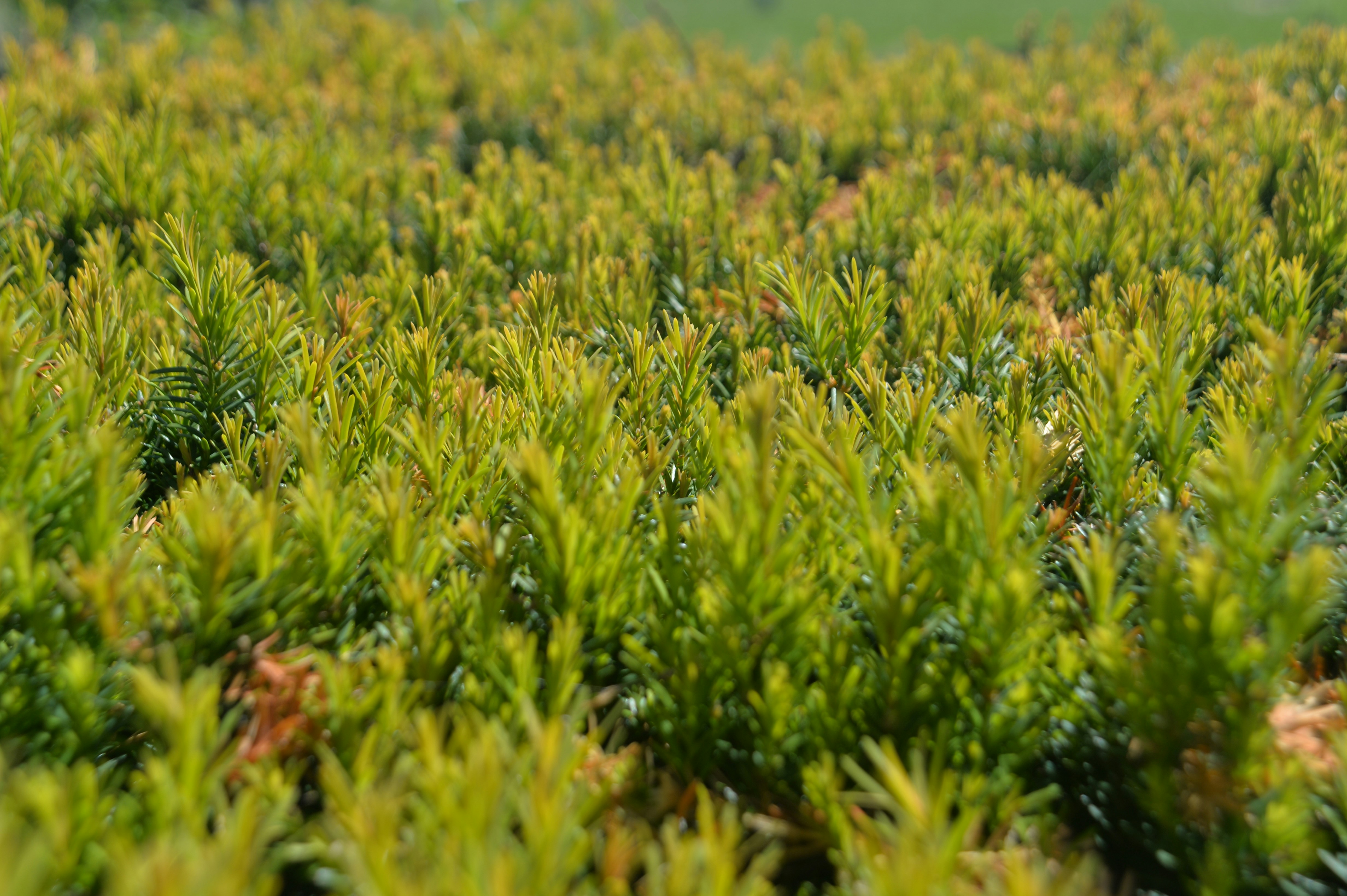 Photo by baliko_andras