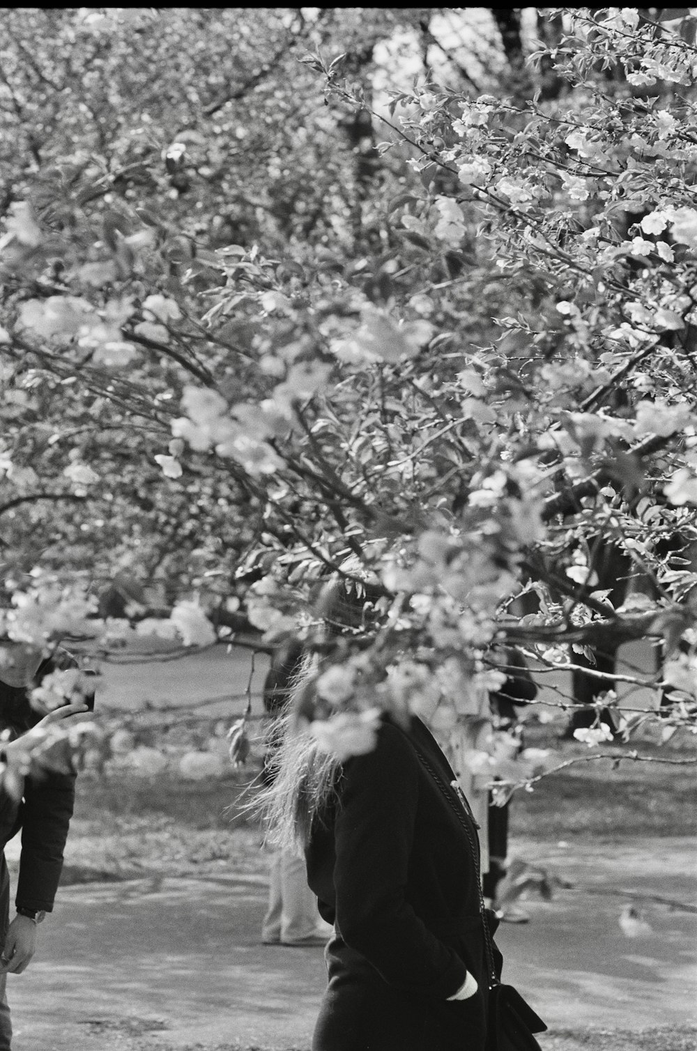 Una foto en blanco y negro de una mujer de pie bajo un árbol