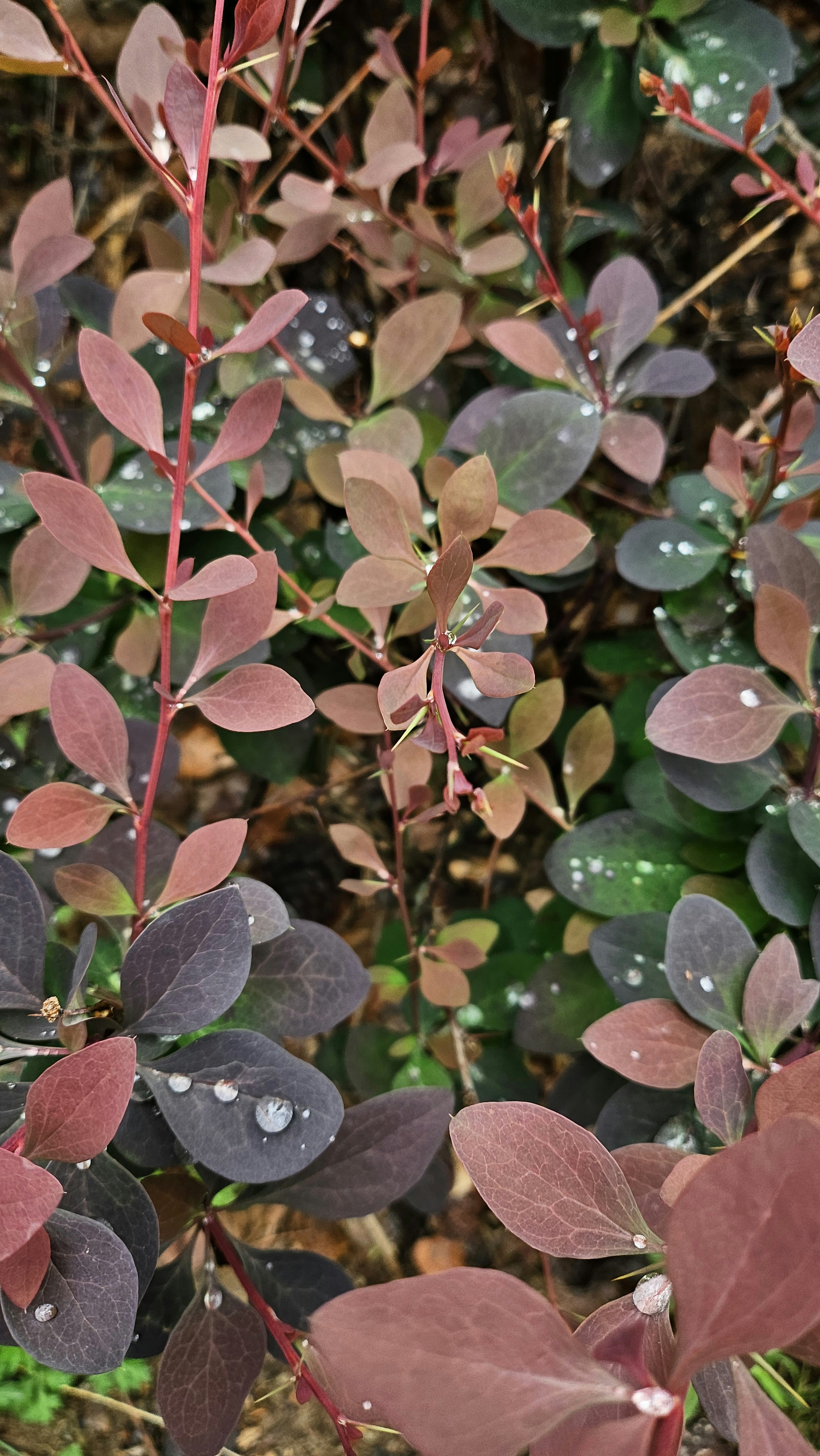 Photo by _______mhj_______