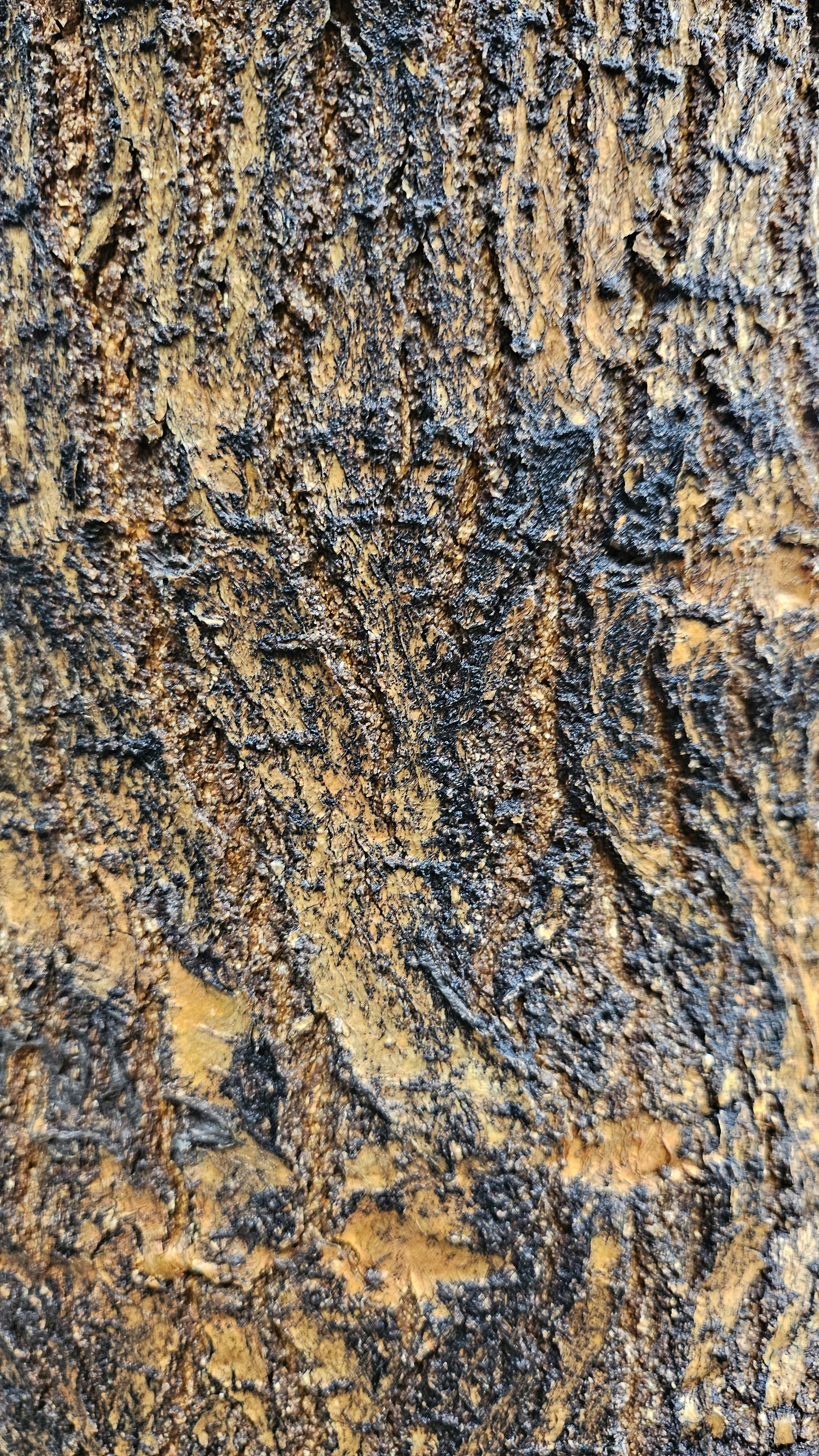 Photo by _______mhj_______