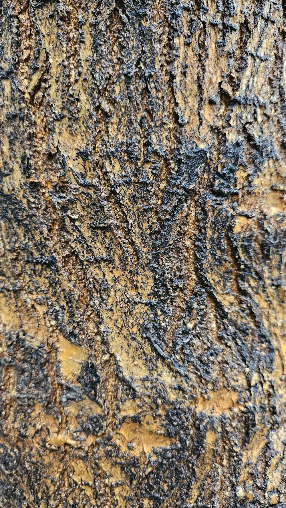 a close up of a tree bark texture