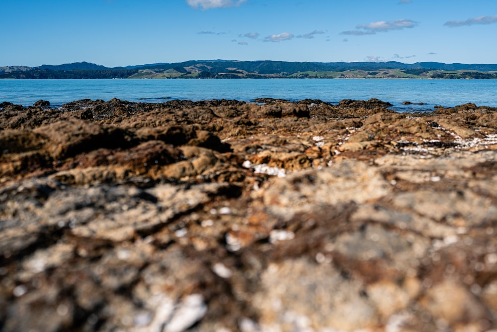 a view of a body of water from a rocky shore