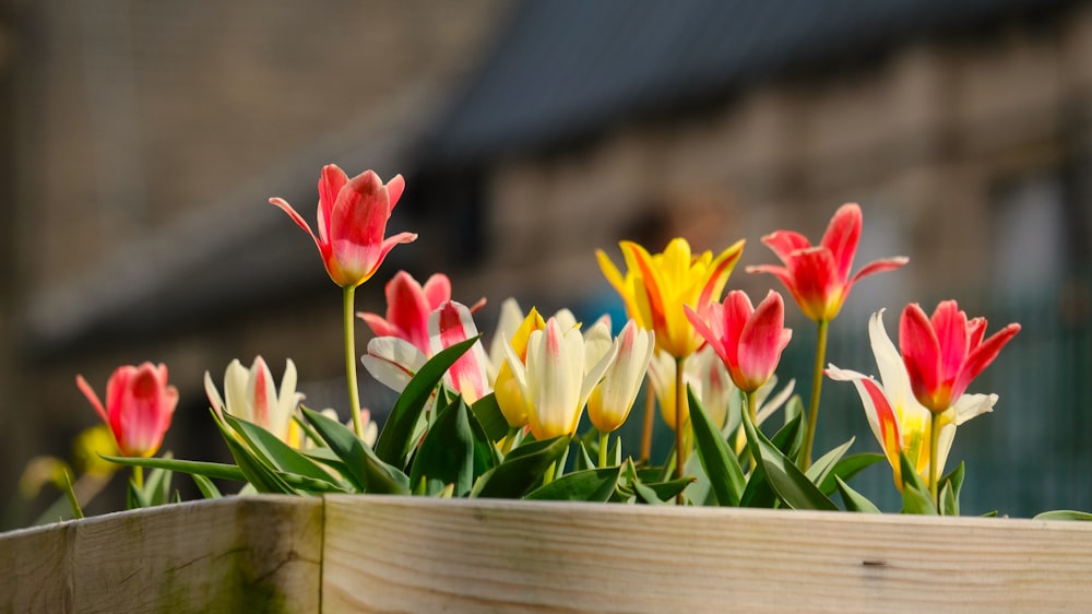 a wooden planter filled with lots of colorful flowers