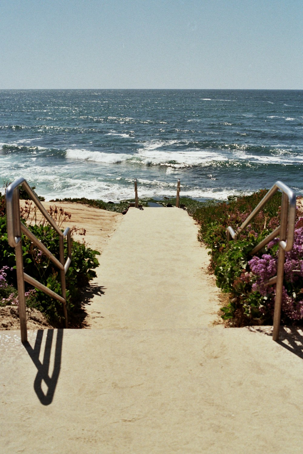 una escalera que conduce a la playa con flores moradas