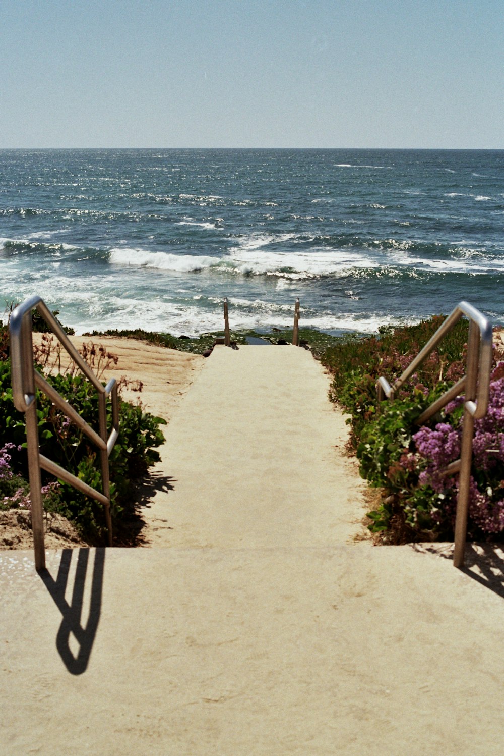 uma escada que leva à praia com flores roxas