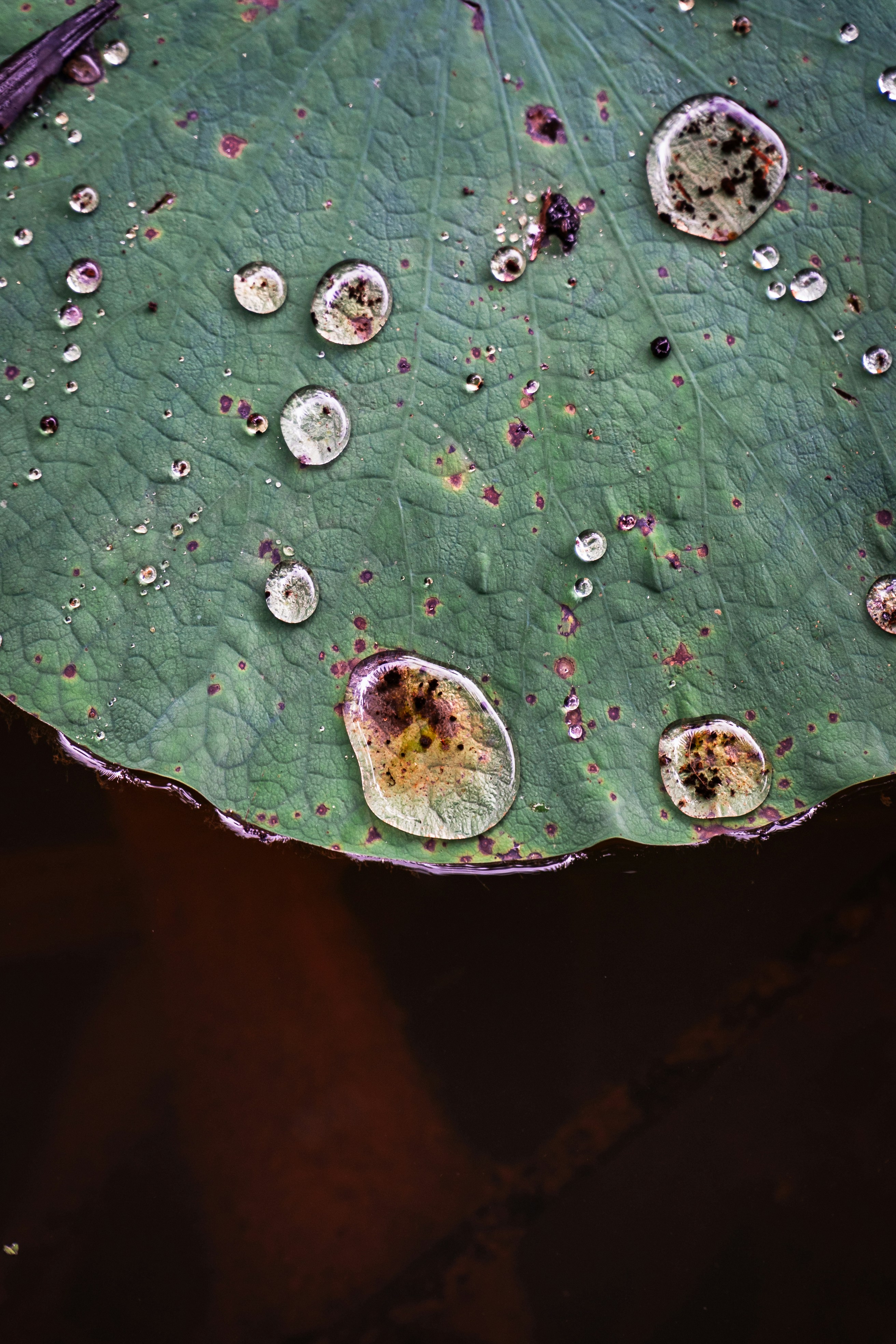 Photo by framesforyourheart