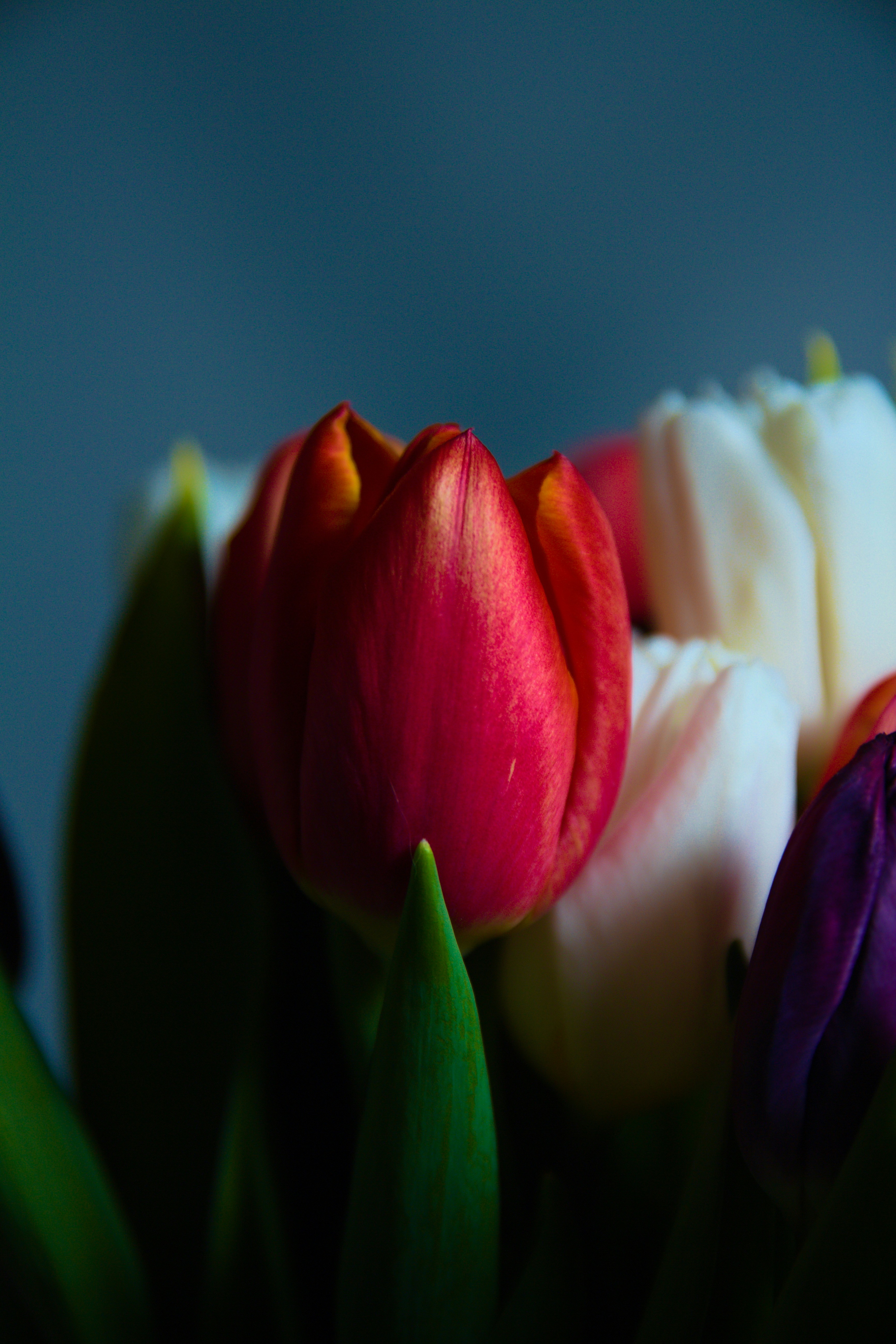 Photo by egemensahiin