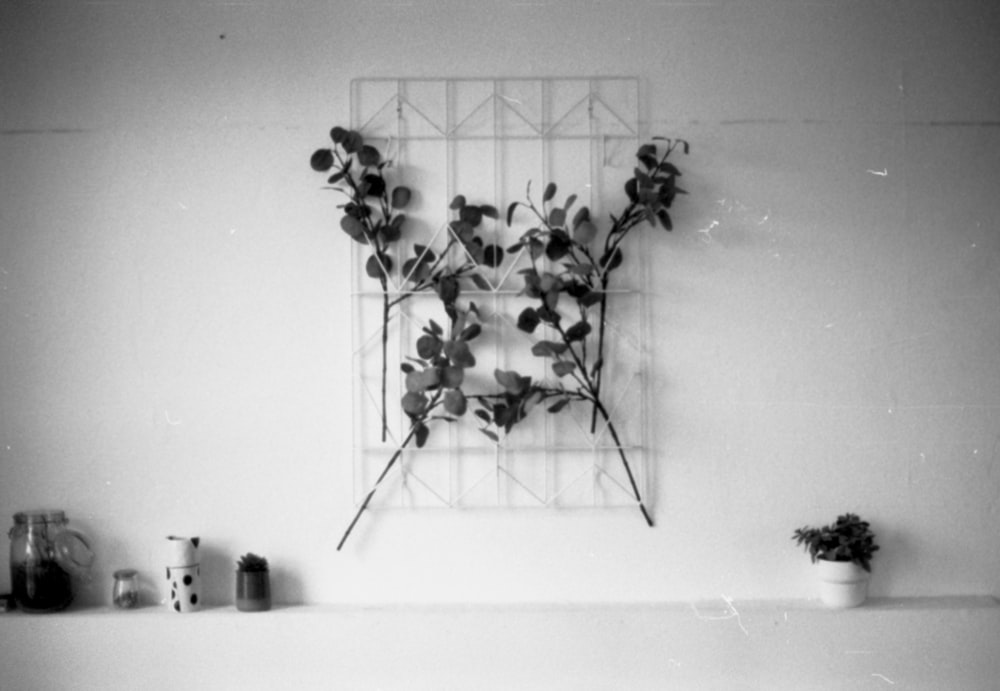 a black and white photo of a plant on a shelf