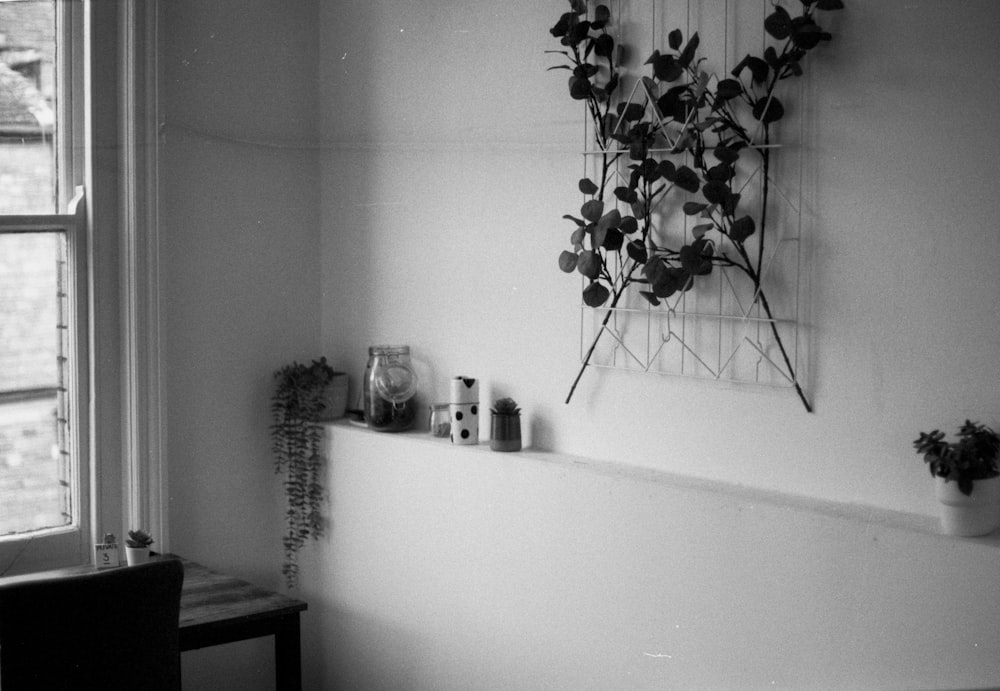 a black and white photo of a plant on a wall