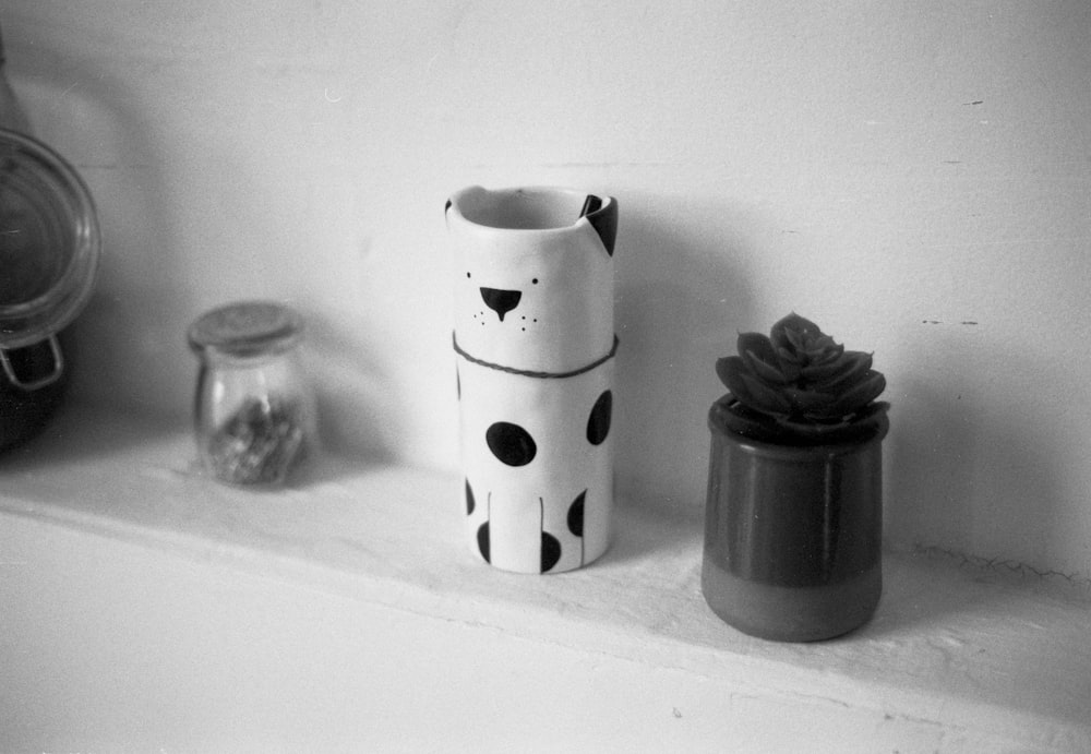 a black and white photo of a vase and a pine cone