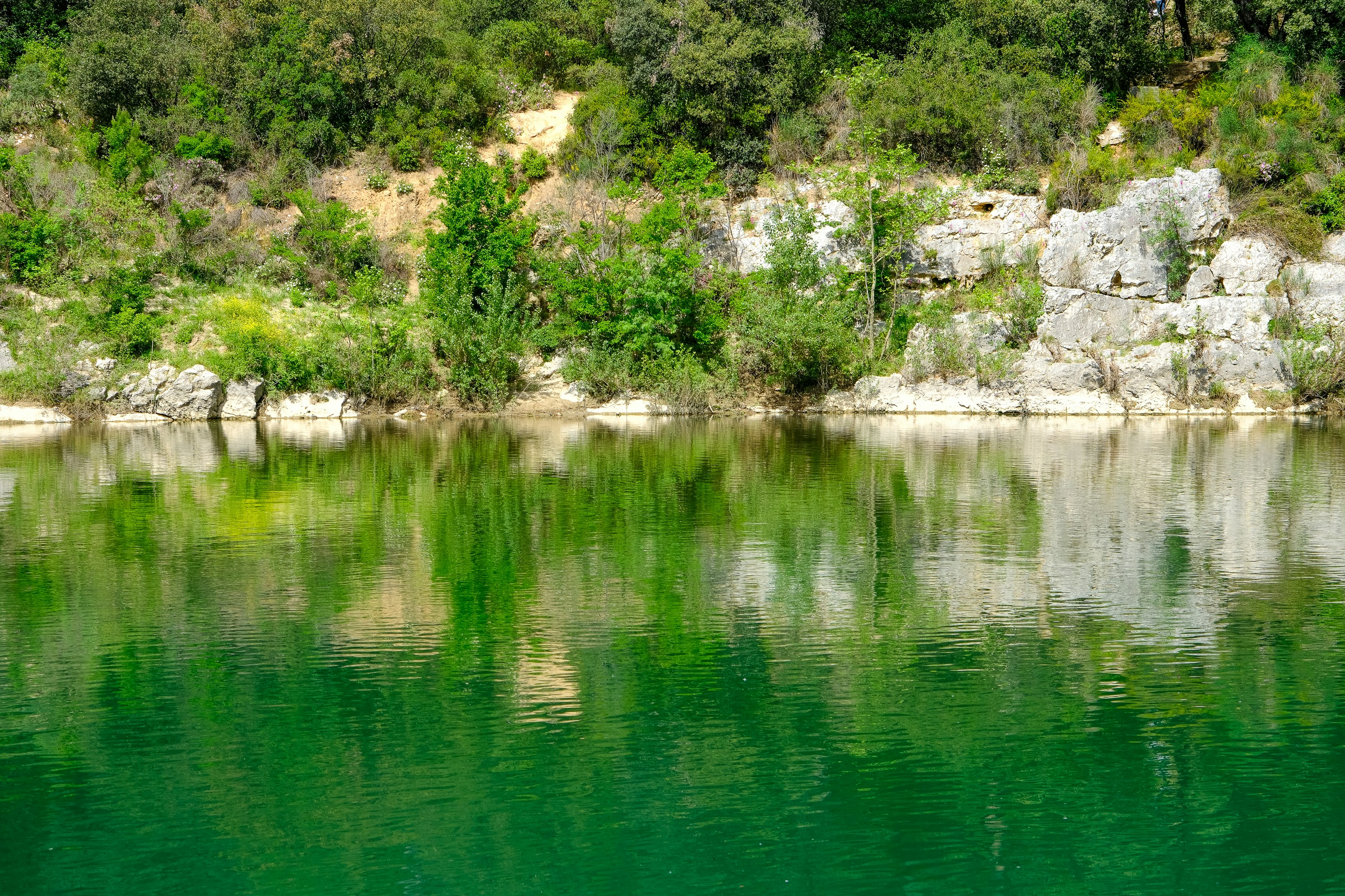 Photo by cestmoisheedy