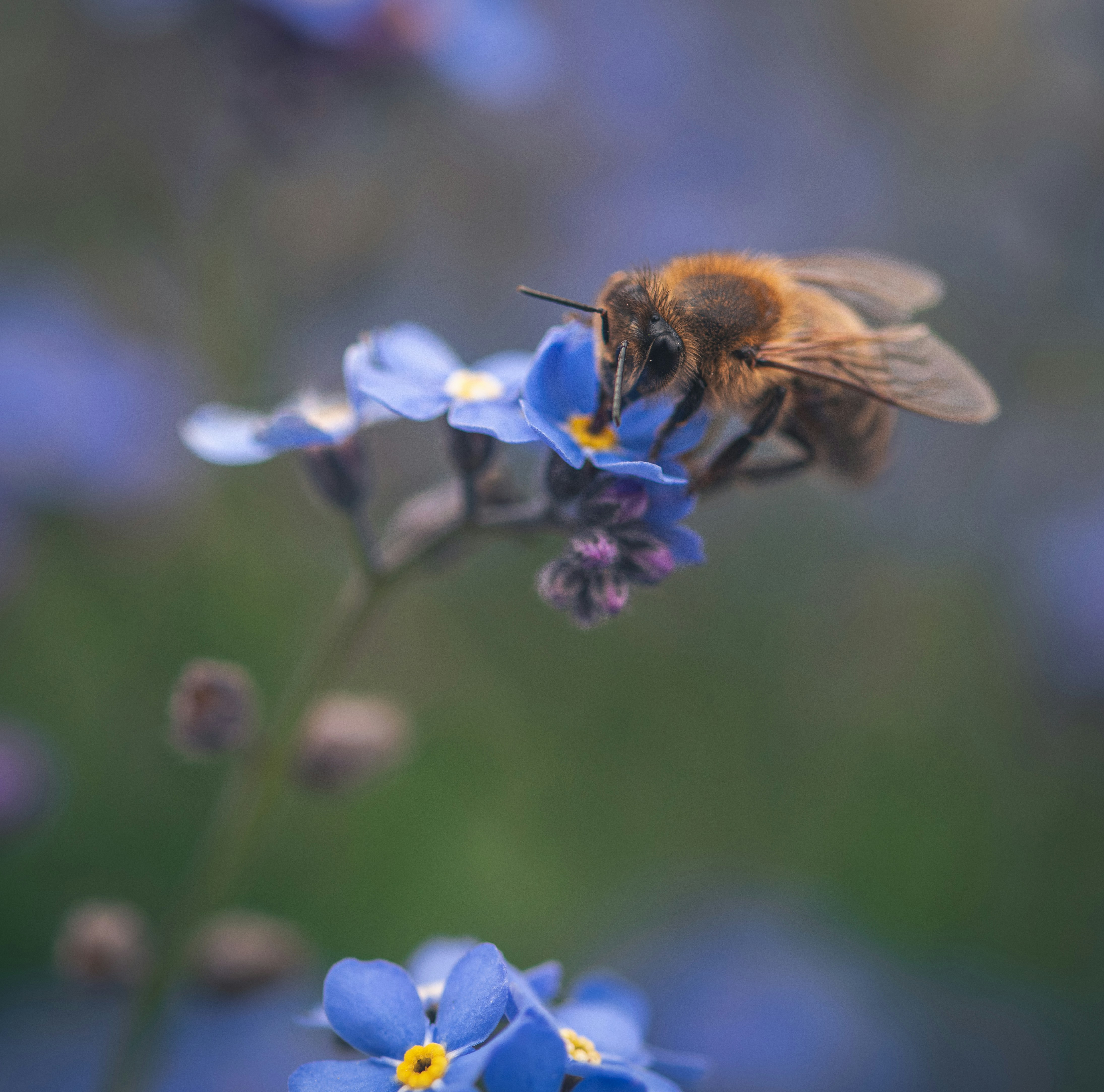 Photo by matt_captures_nature