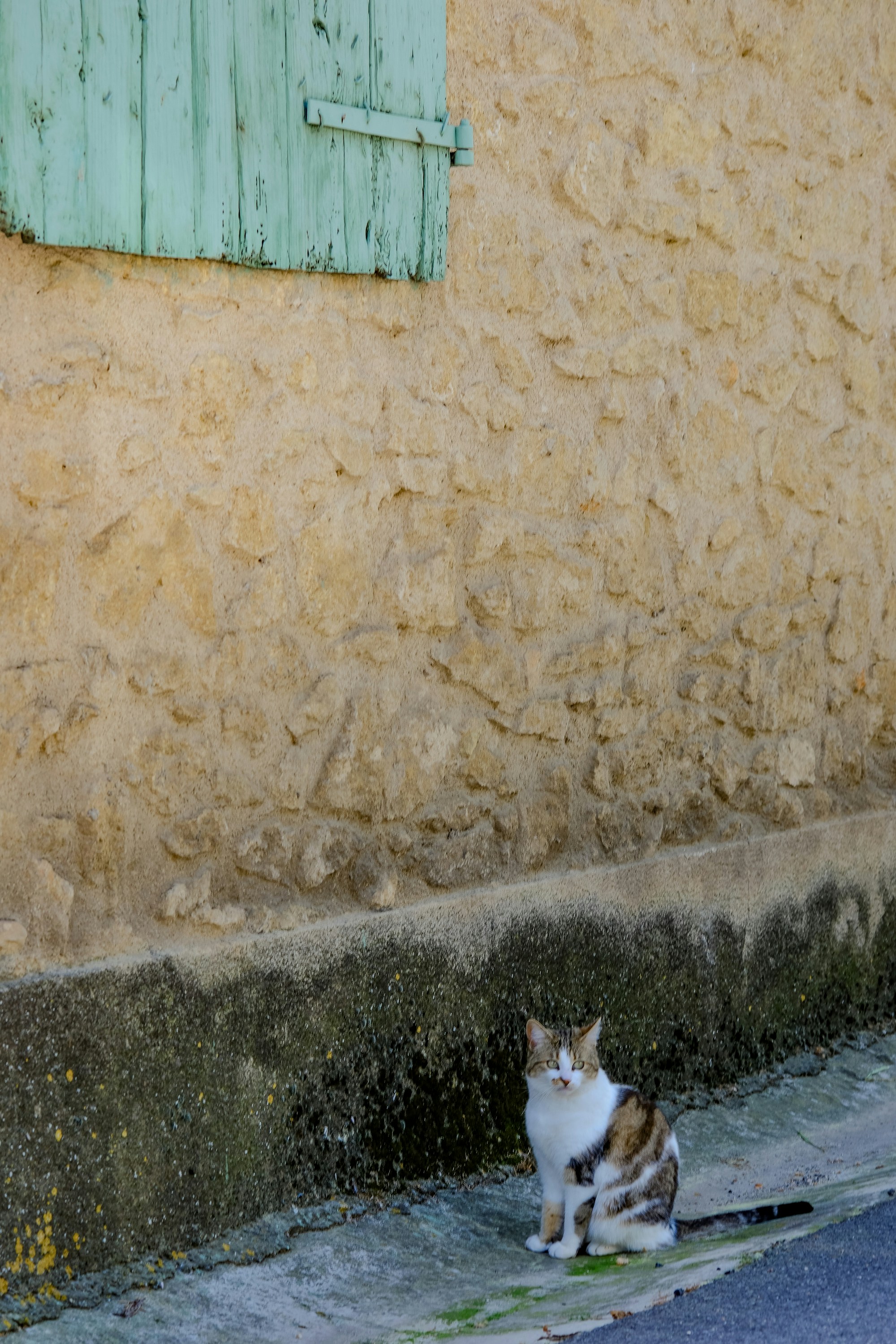 Photo by cestmoisheedy