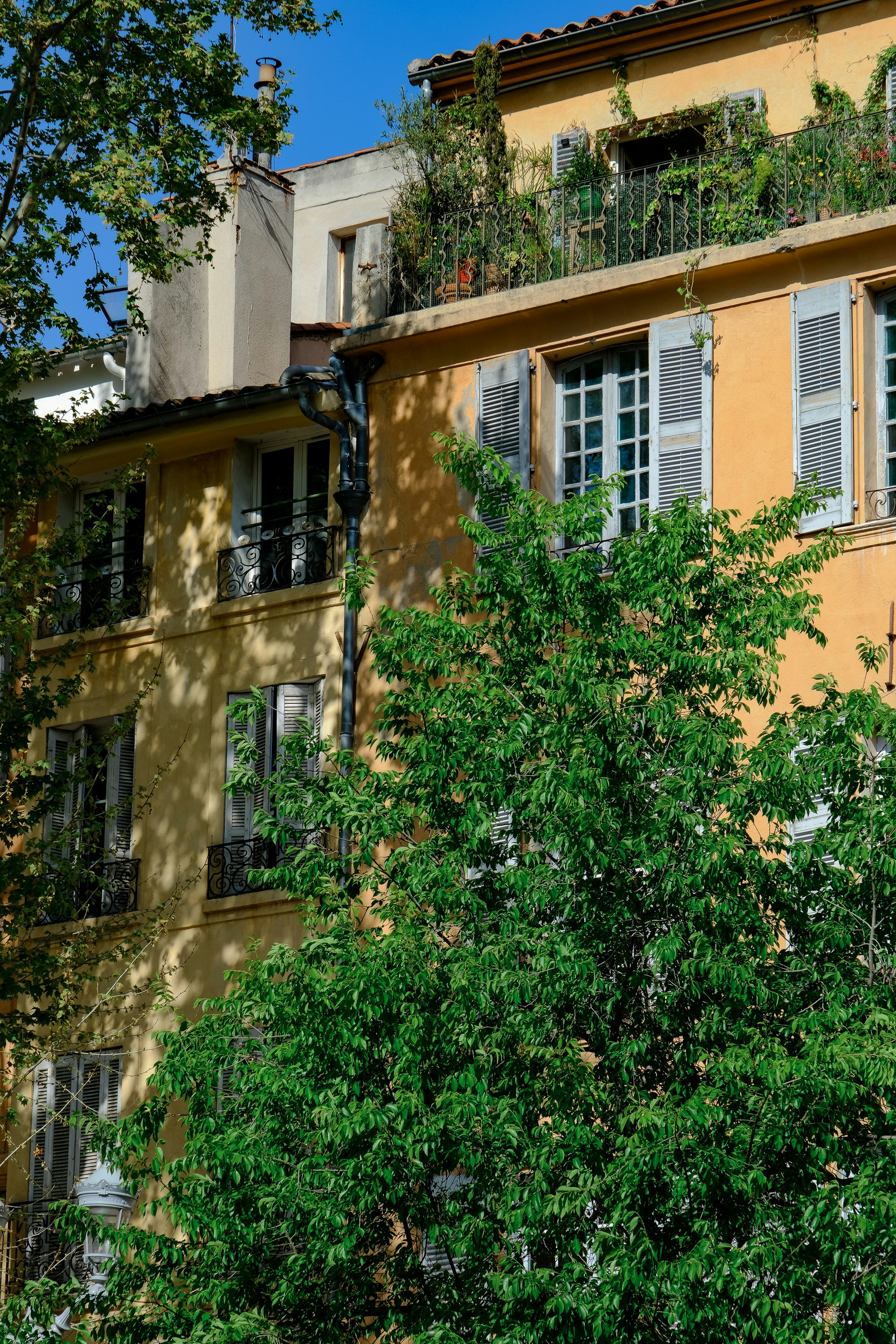 Photo by cestmoisheedy