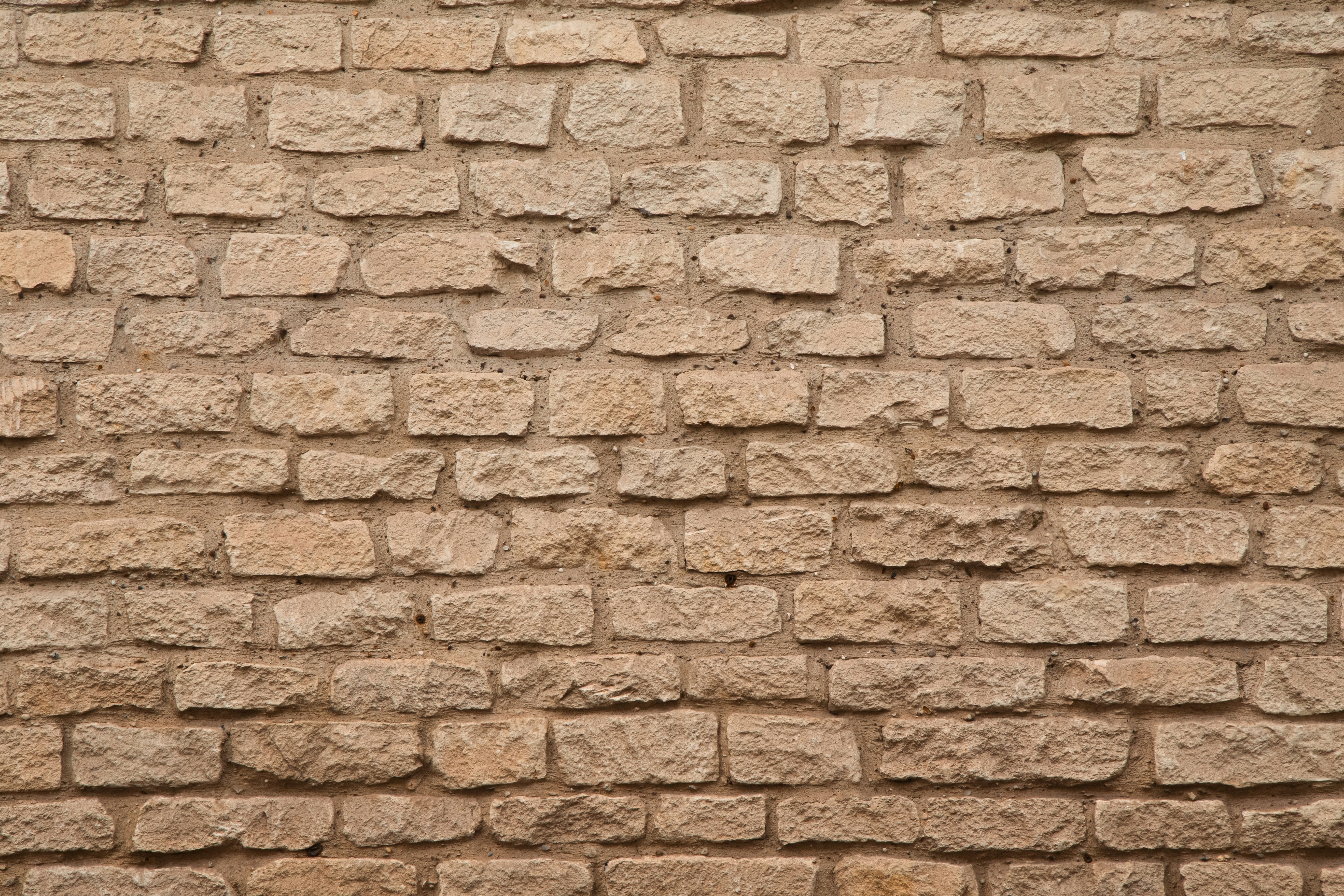 Photo by anushvenkataraman