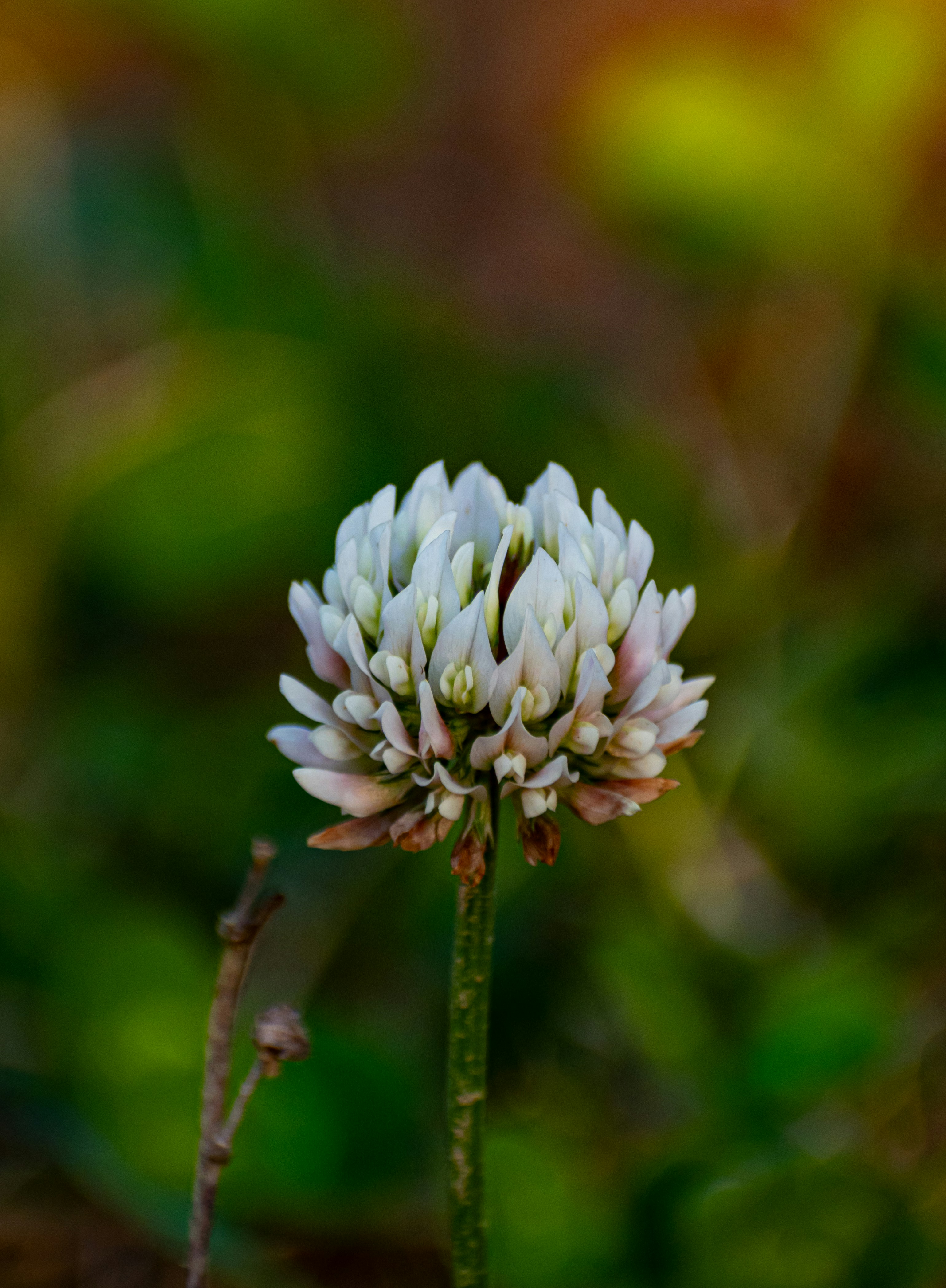 Photo by maheerakulsoom