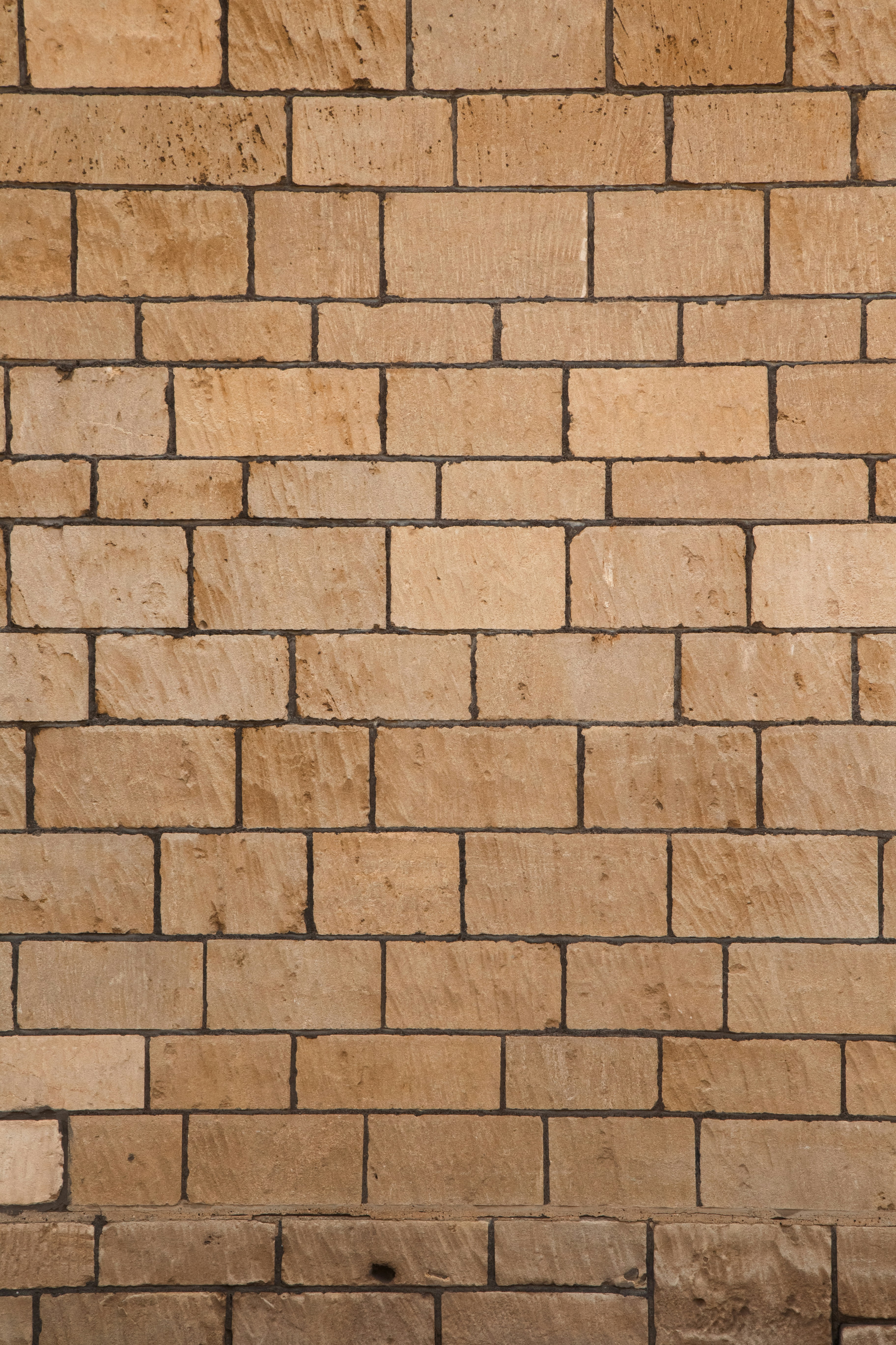 Photo by anushvenkataraman