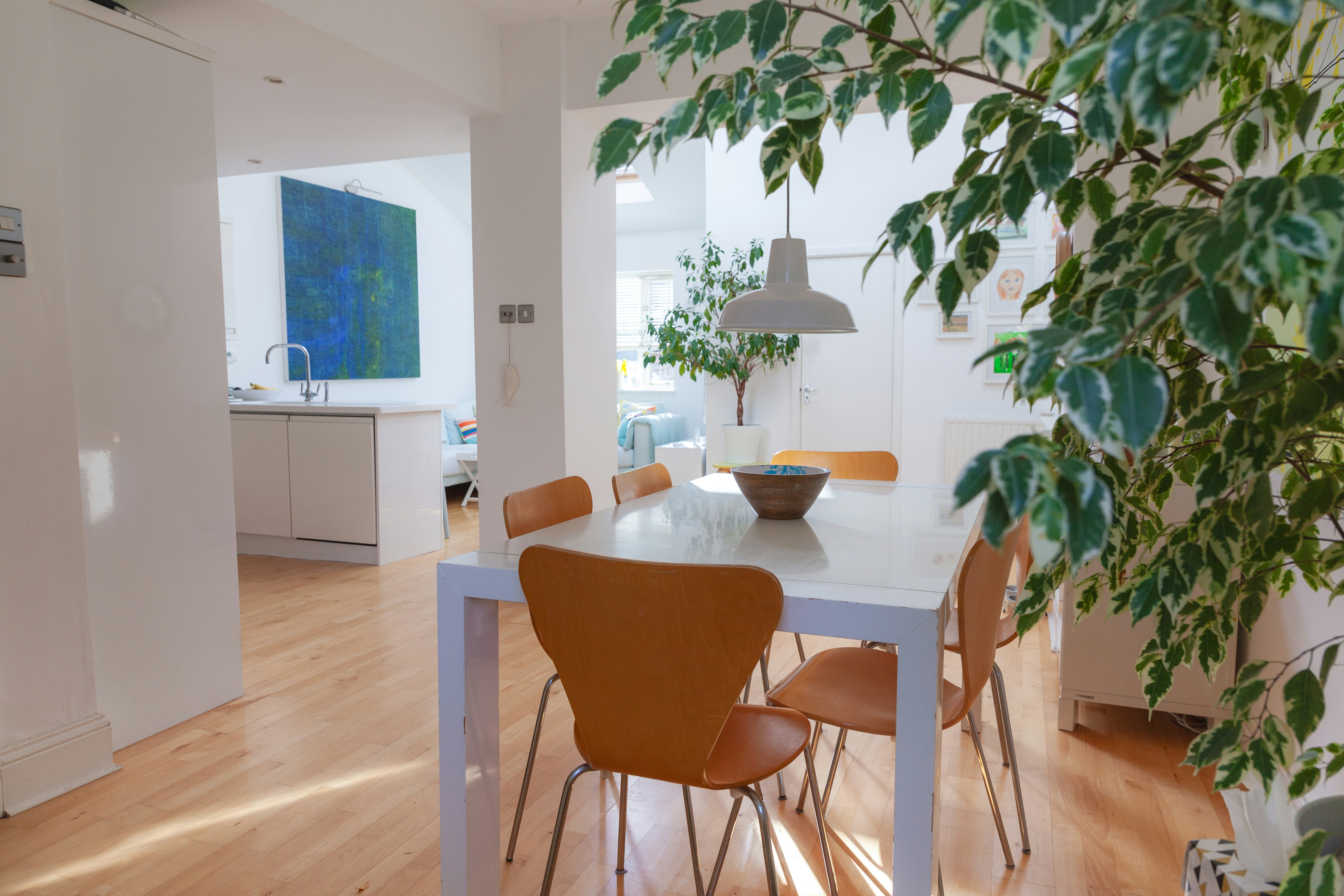 Photo by campfire_guy