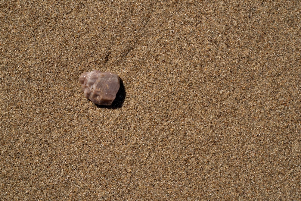 a rock in the sand on a beach