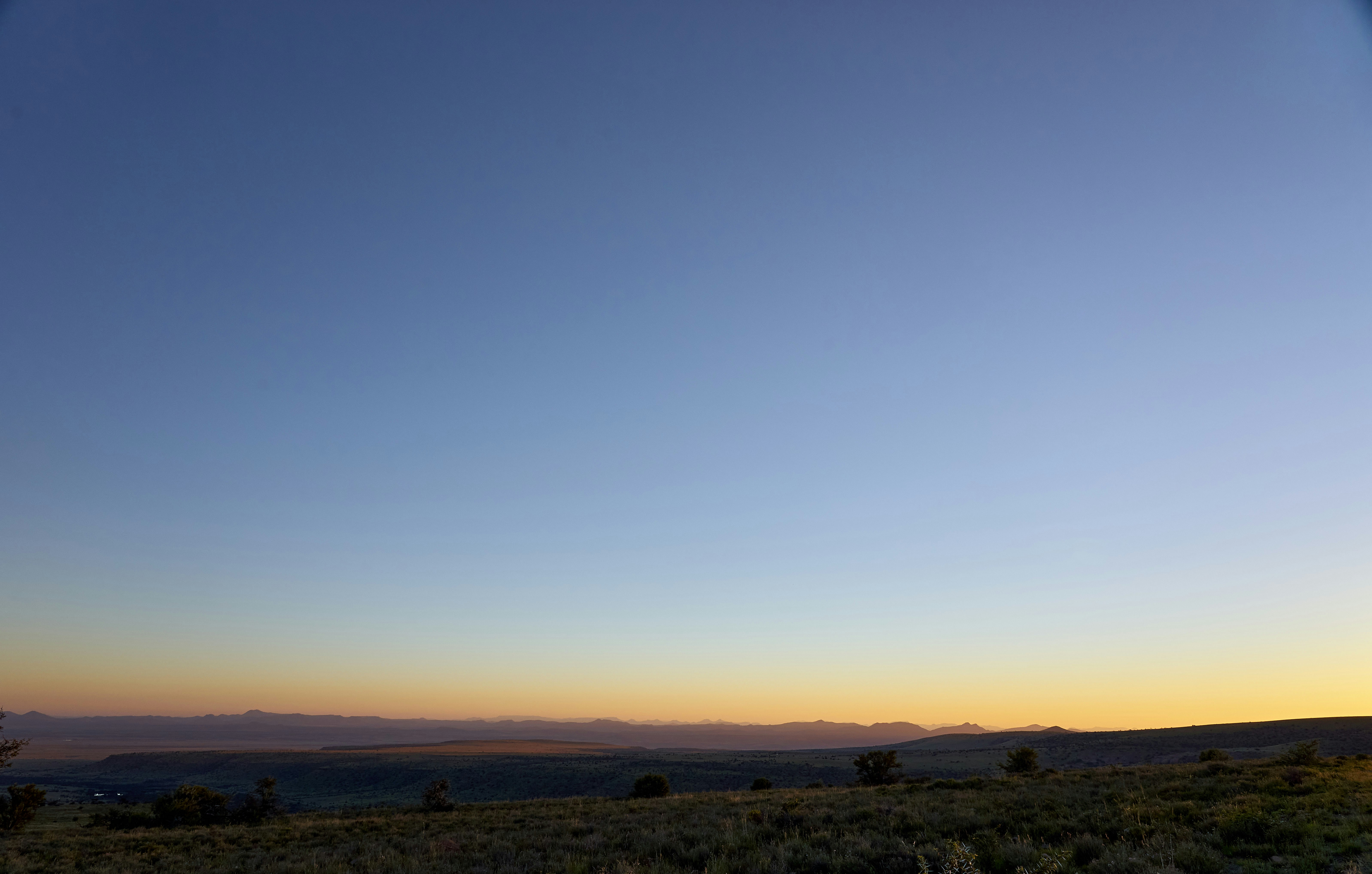 Photo by wolfgang_hasselmann