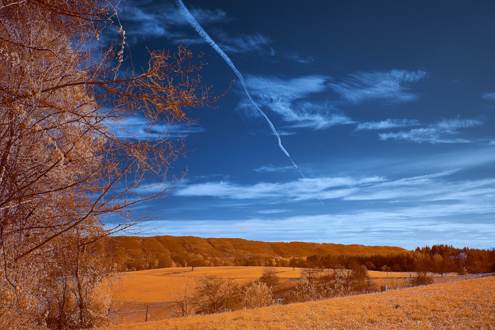 a field with a tree and a plane in the sky