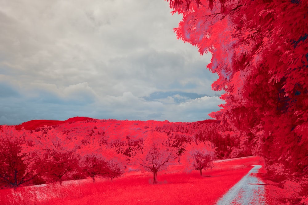 a red infrared image of a road in the middle of a field