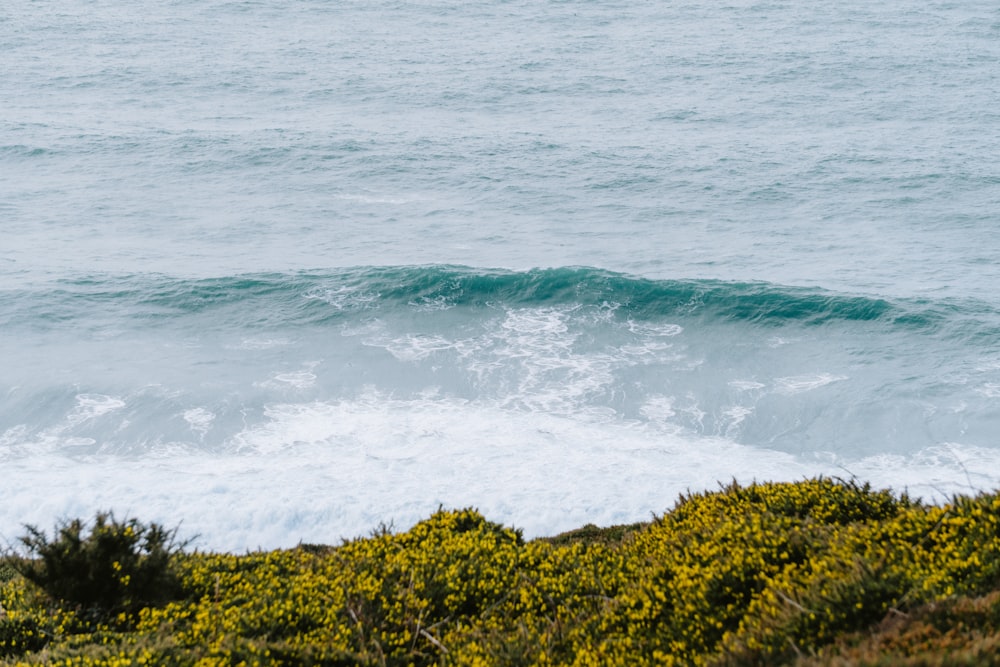 a person riding a surfboard on a wave in the ocean