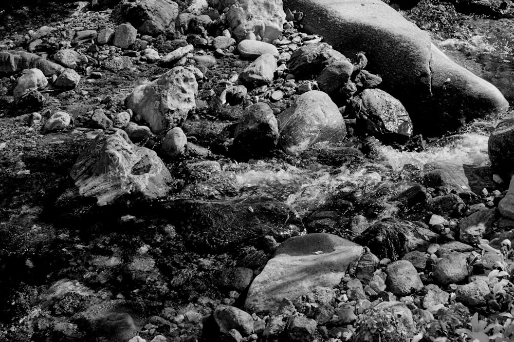 a black and white photo of rocks and water