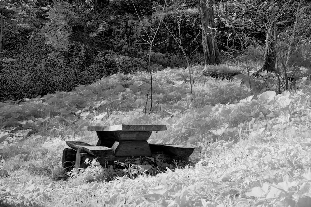 a black and white photo of a bench in a field