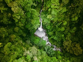 a waterfall in the middle of a forest