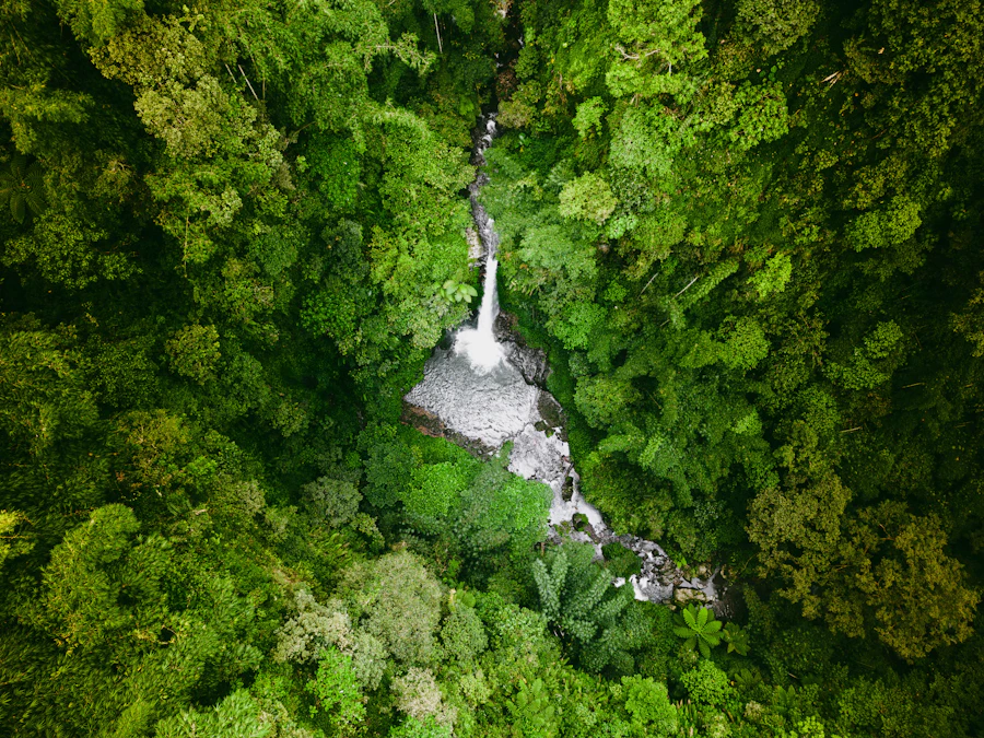 Air terjun Jawa Timur