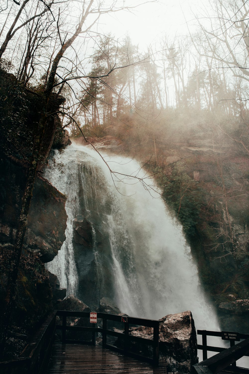 a large waterfall in the middle of a forest