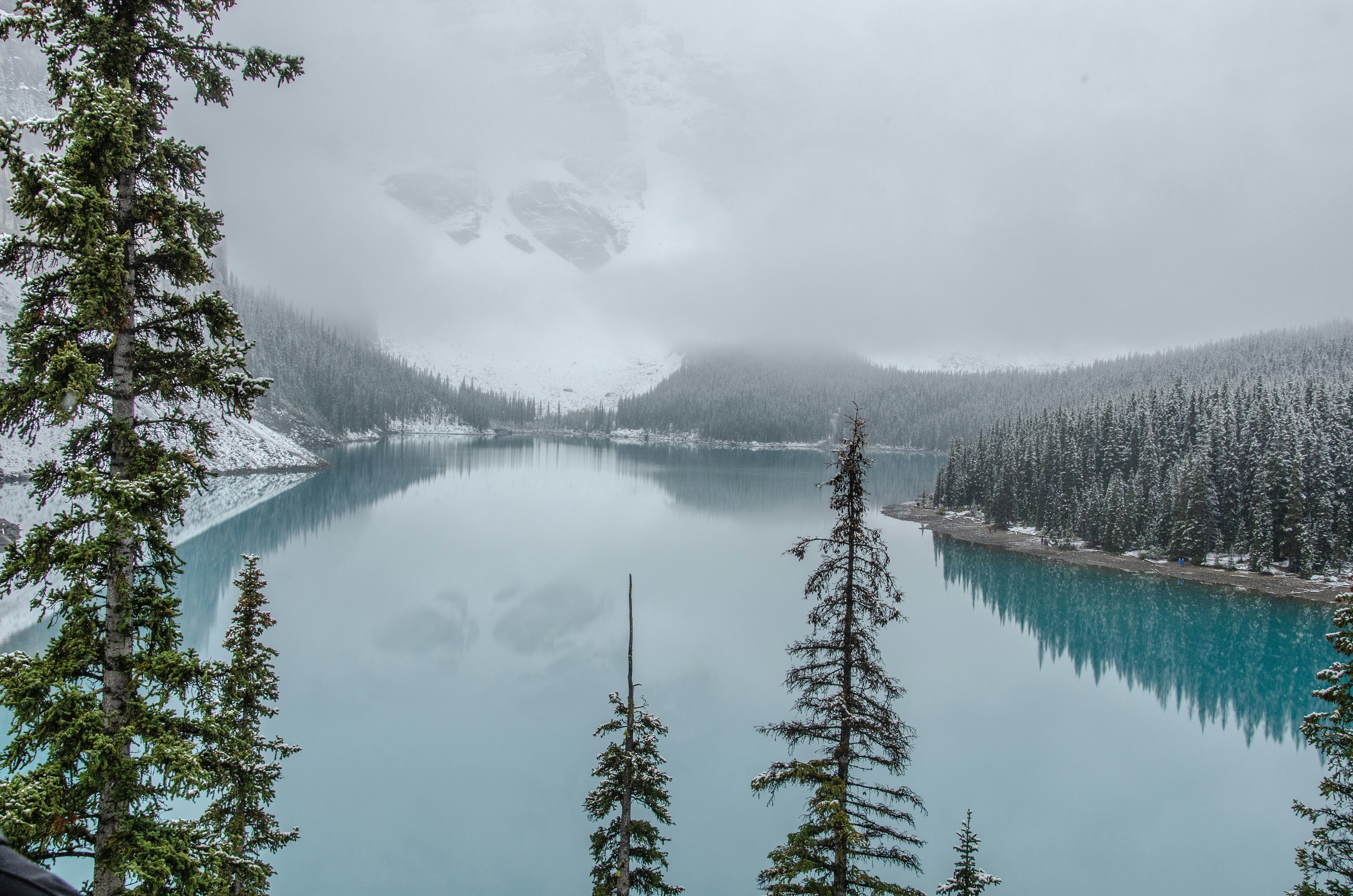 The Absence of Success