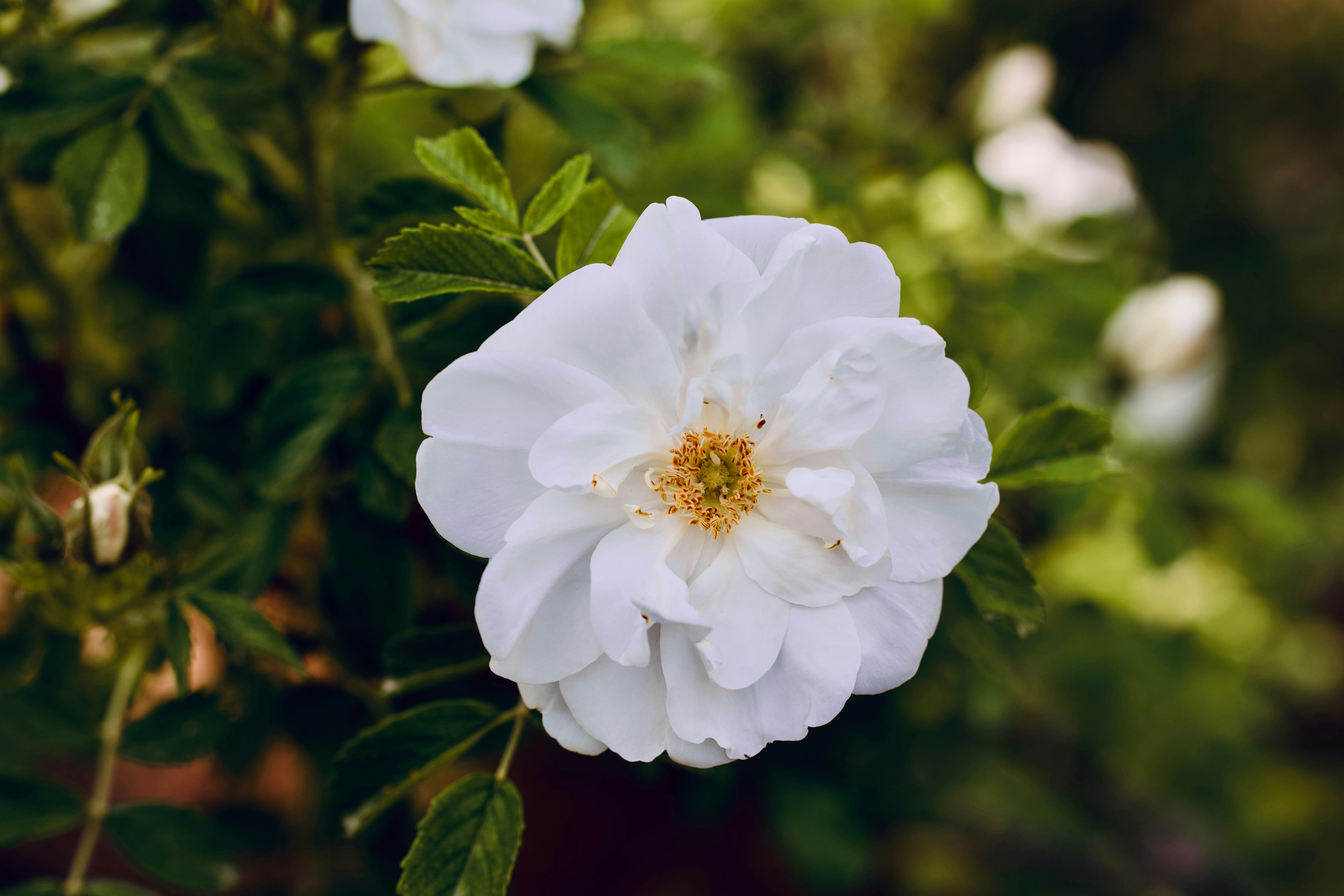 Photo by sandyonmars