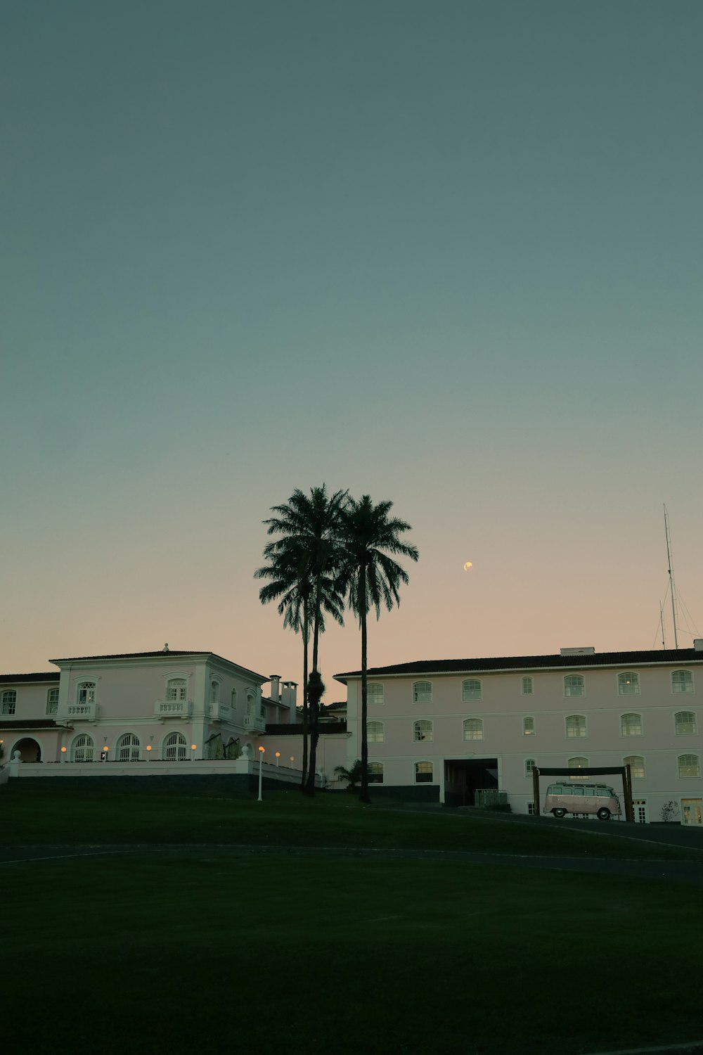 a large white building with a palm tree in front of it