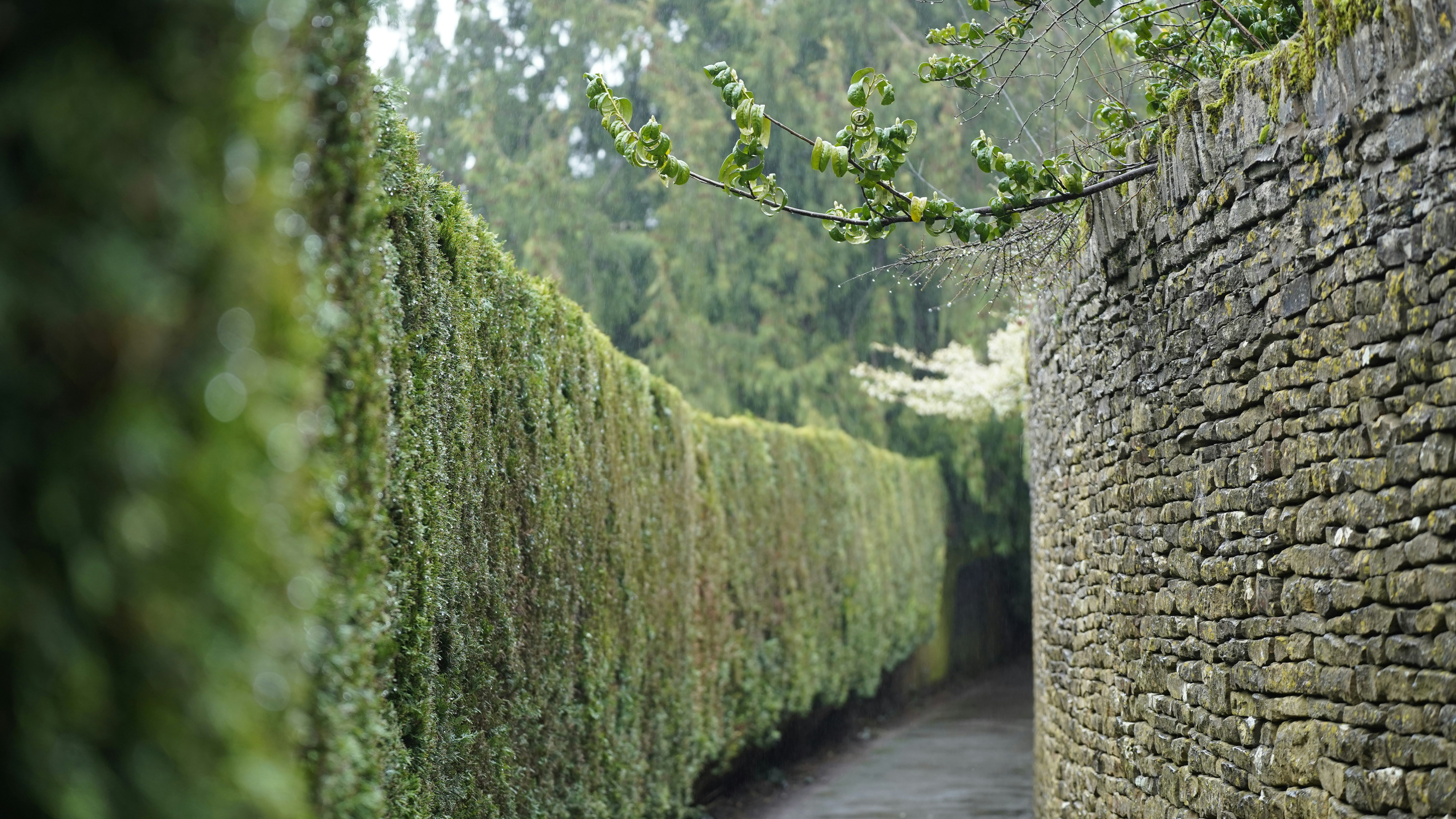 a stone wall with a path between it, a walkway in cotsworld village