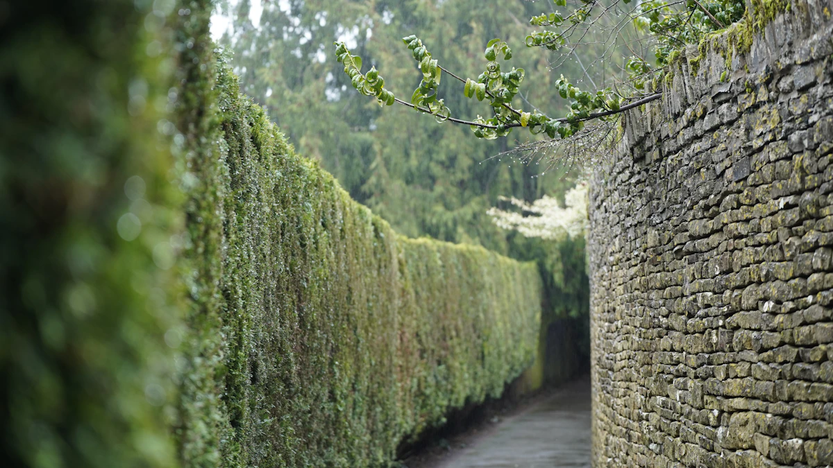 Lorong sempit di antara dinding batu