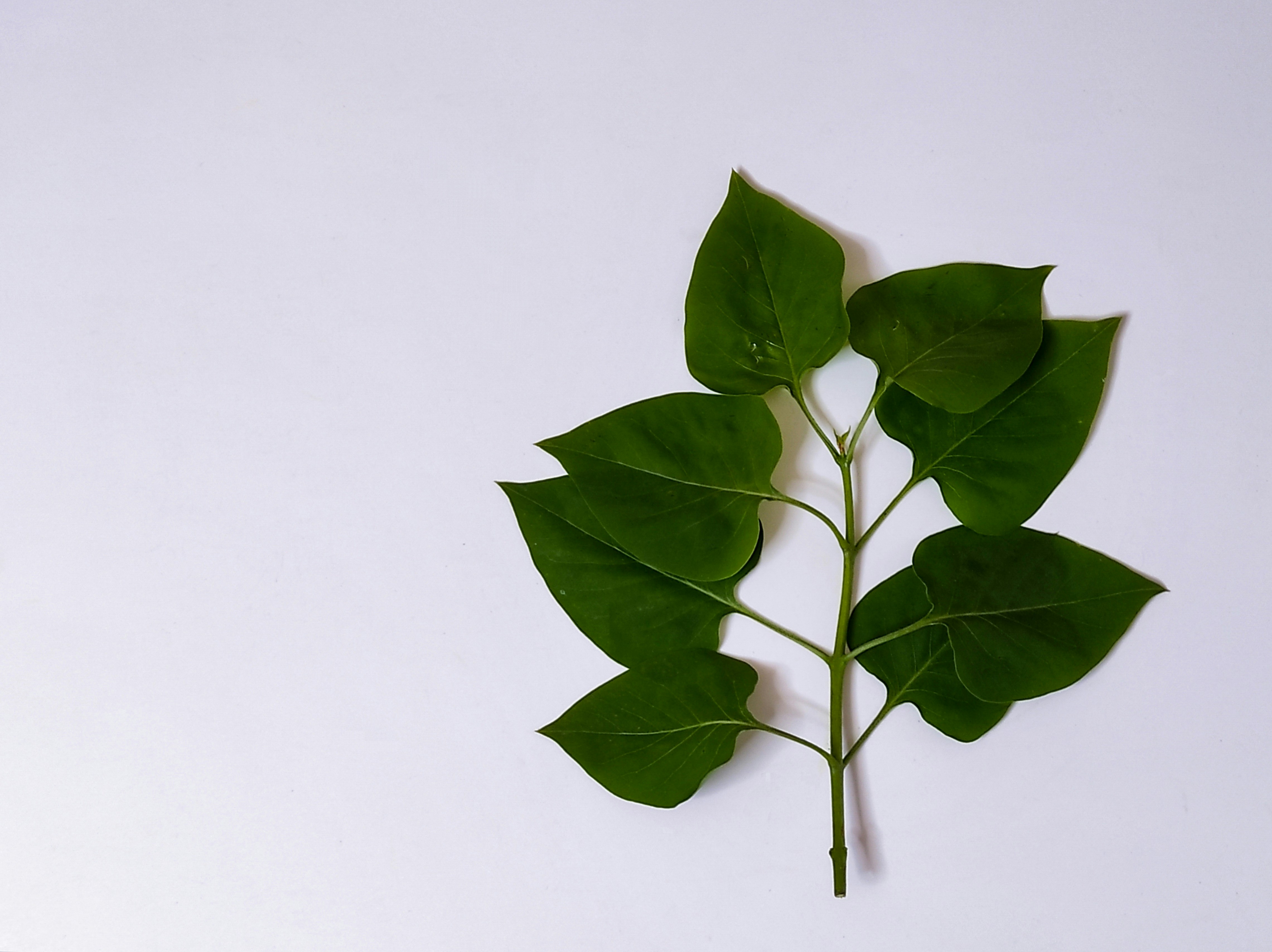 Photo by daniela_e_photography