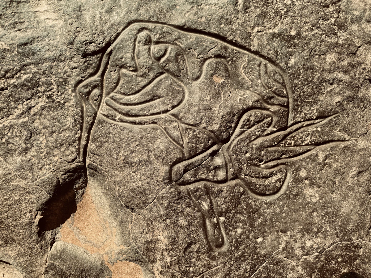 Tassili n'Ajjer