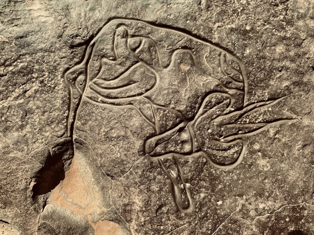 a rock with a carving of a bird on it