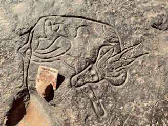 a rock with a carving of a bird on it