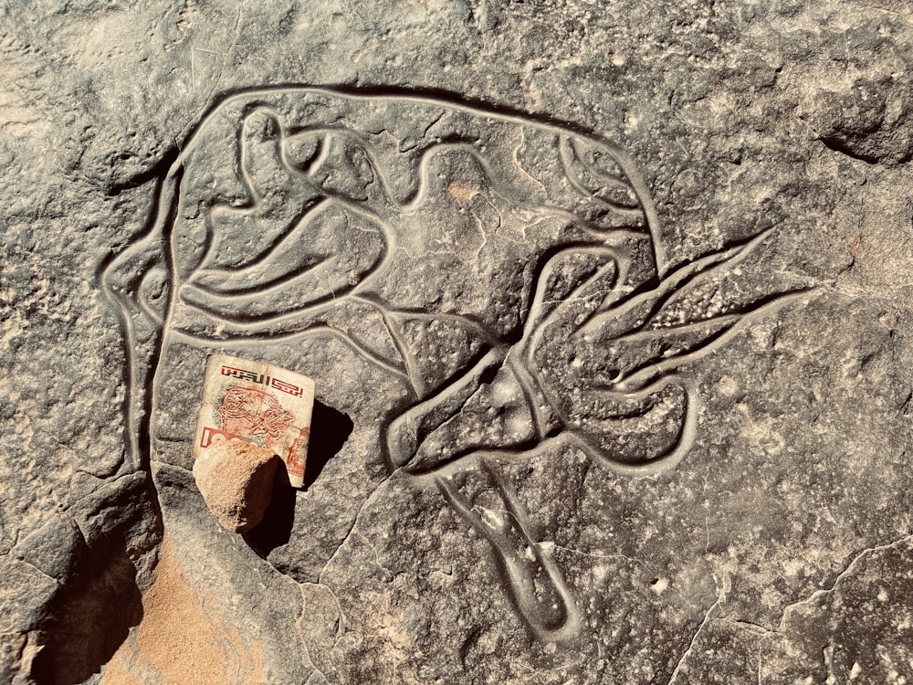 a rock with a carving of a bird on it