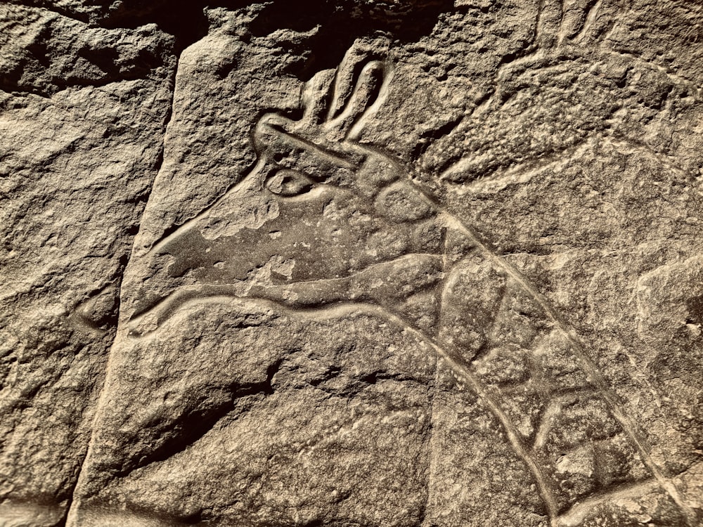 a close up of a rock with a carving on it