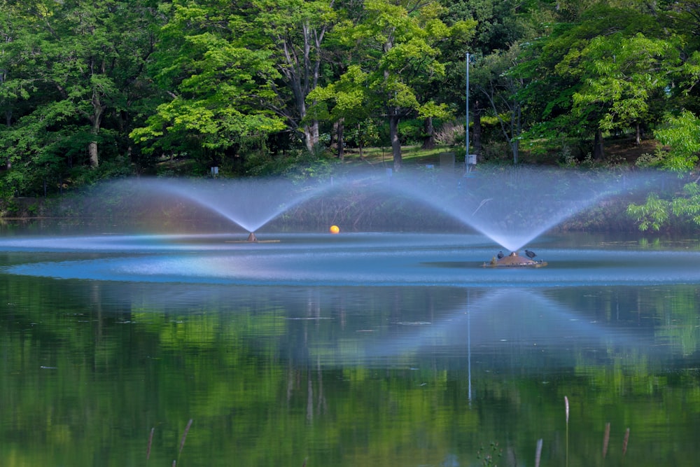 a large body of water surrounded by trees