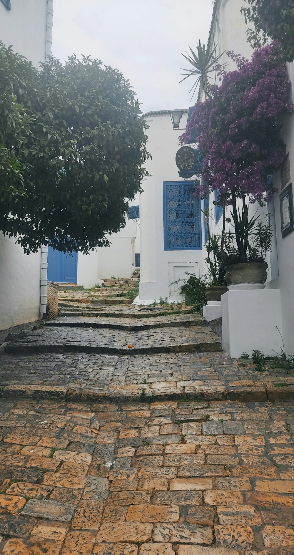 a cobblestone street with steps leading up to a blue door