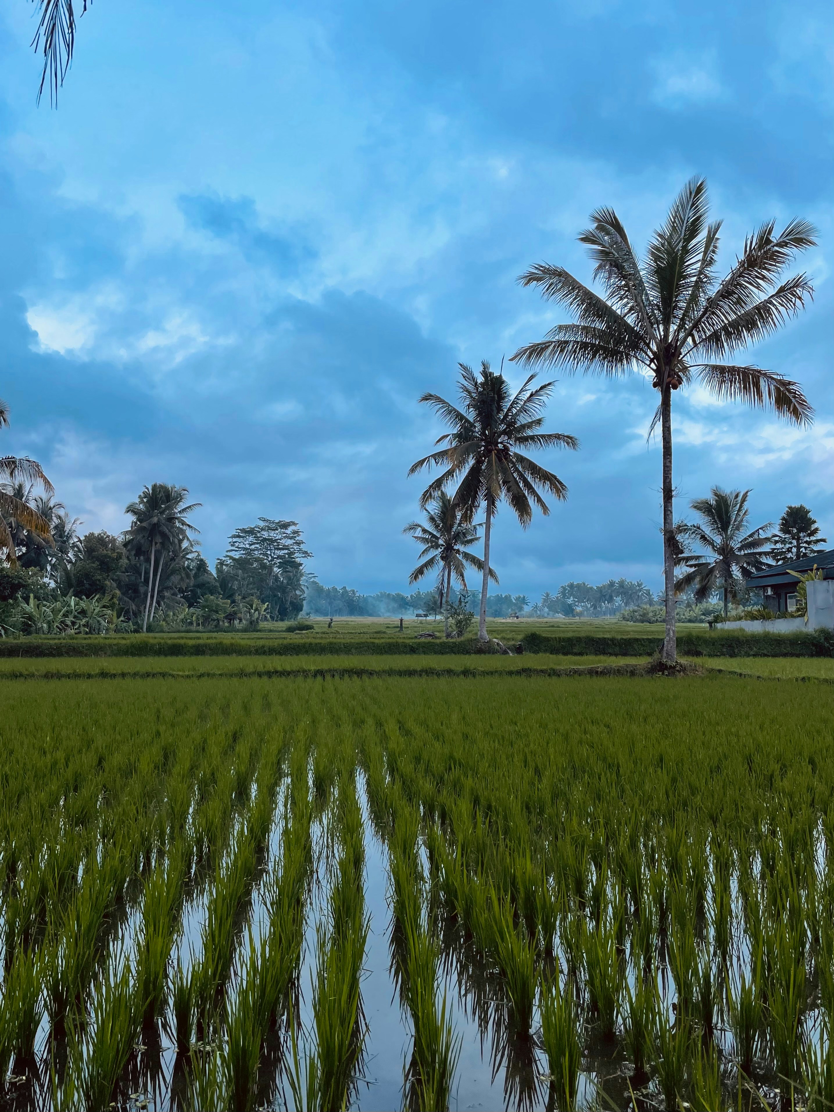 Photo by galifianakis